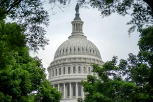 Are Political Donations Tax Deductible Get Expert Advice!