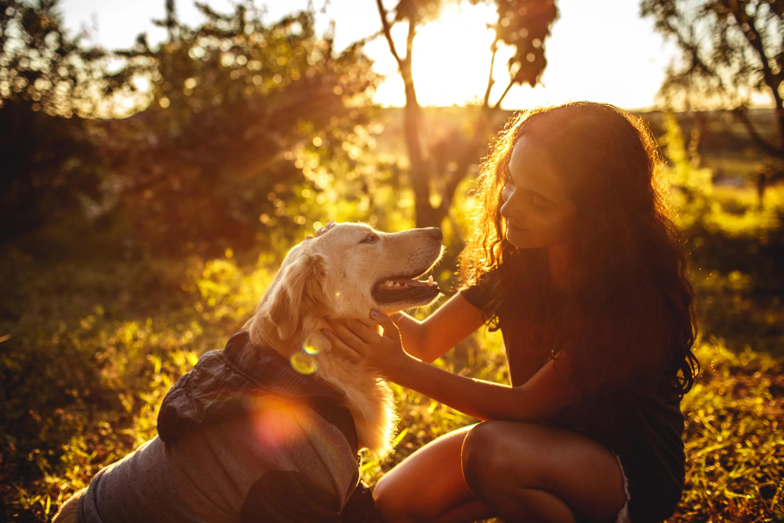 Why Most Pet Deductions on Taxes 2025 Are Not Allowed